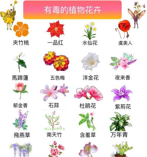 绣球花的花期奥秘是什么？万年青品种与养护全解析！
