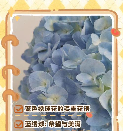 绣球花的花语代表什么？发财树的种植方法有哪些？