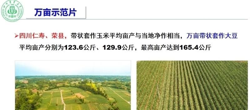 套种技术是什么？如何提升亩产收益？