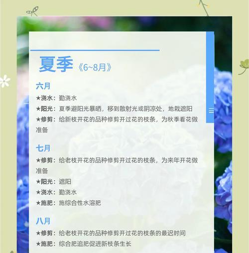 绣球花怎么养？养护技巧有哪些？