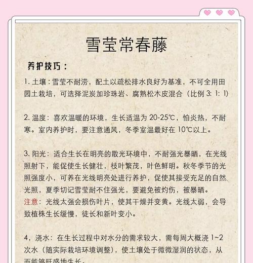 常青藤耐冻吗？如何在冬季养护？