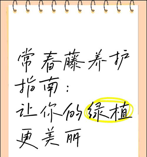 常春藤植物的养护方法是什么？