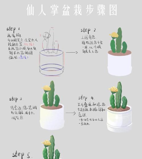 仙人掌断根后如何进行有效栽种？