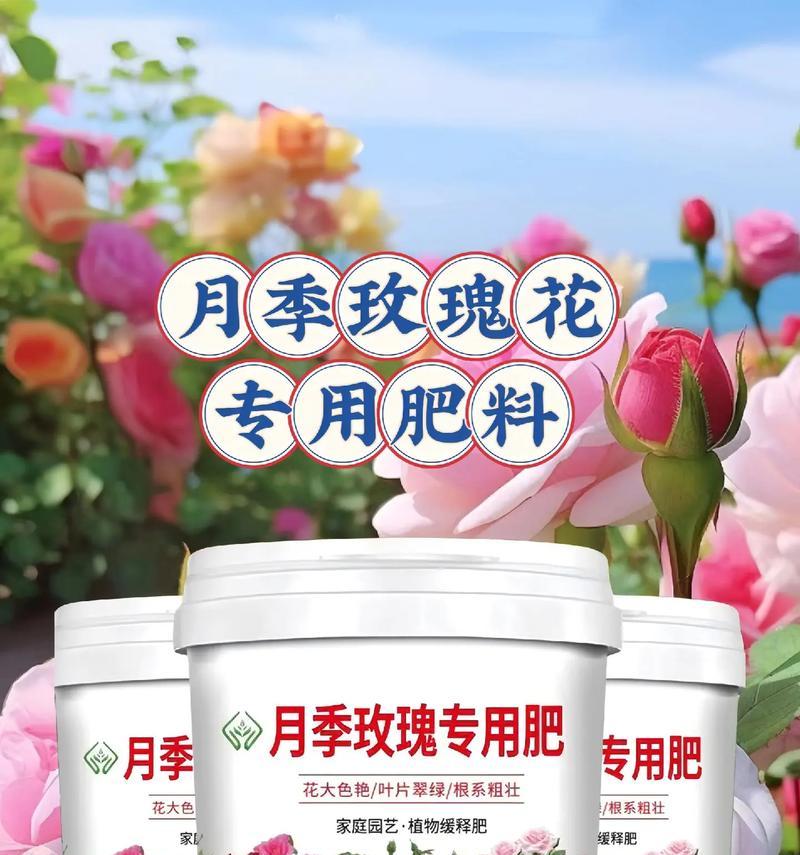 适合干枯玫瑰花的专用肥料有哪些？