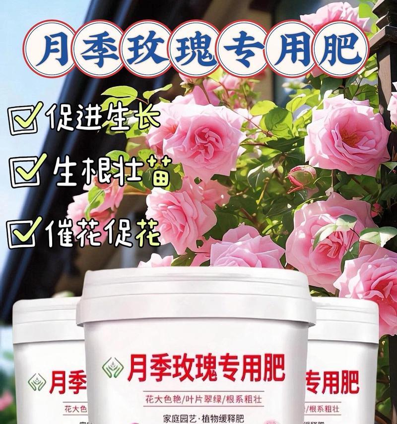 适合干枯玫瑰花的专用肥料有哪些？