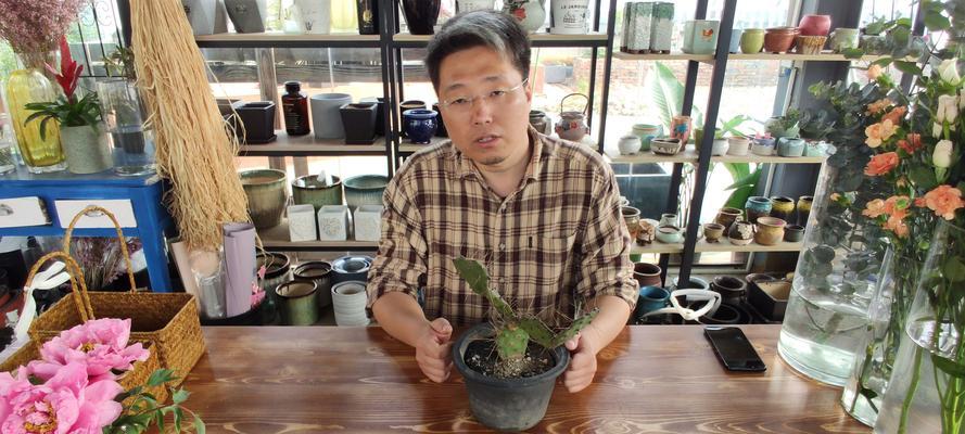 仙人掌可以使用蛋清吗？正确的浇水方法是什么？