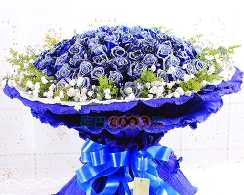 如何水培蓝色玫瑰花鲜花？