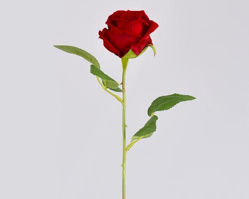 红玫瑰花苞假花的养护方法是什么？