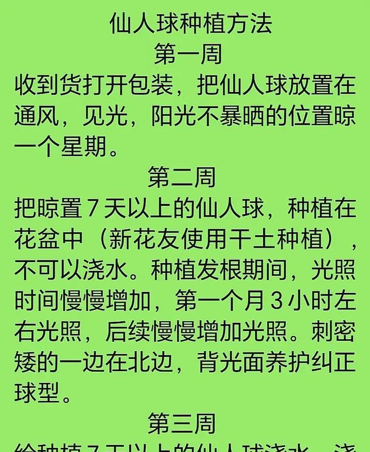 新购买的仙人球种植步骤是什么？