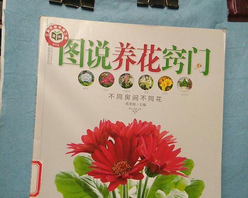 君子兰紫藤玫瑰的养护方法是什么？