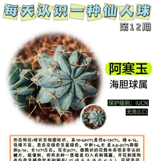 玉盏彩草仙人球的养殖方法和注意事项是什么？