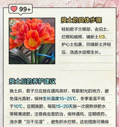 君子兰养殖诀窍具体指什么？