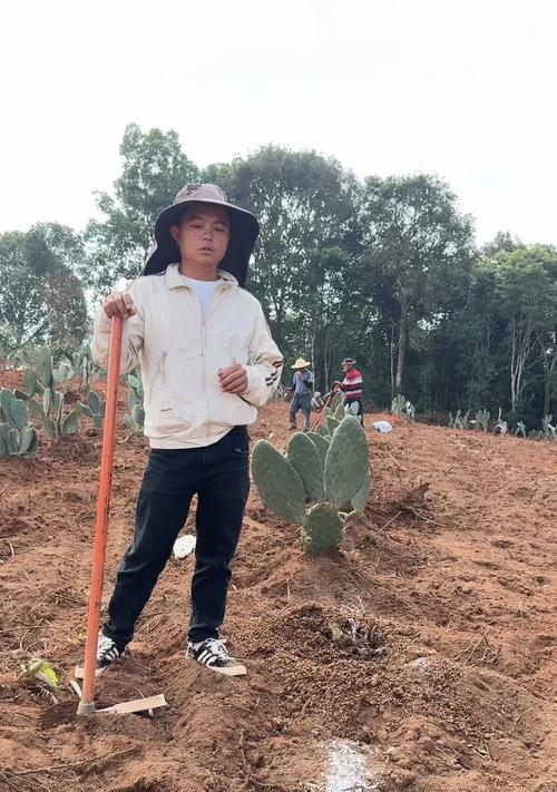 杜丹红仙人掌种植方法？一步步教你轻松搞定！