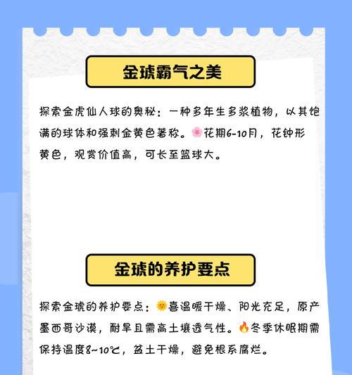 金虎仙人掌如何养得圆润？专家技巧大揭秘！