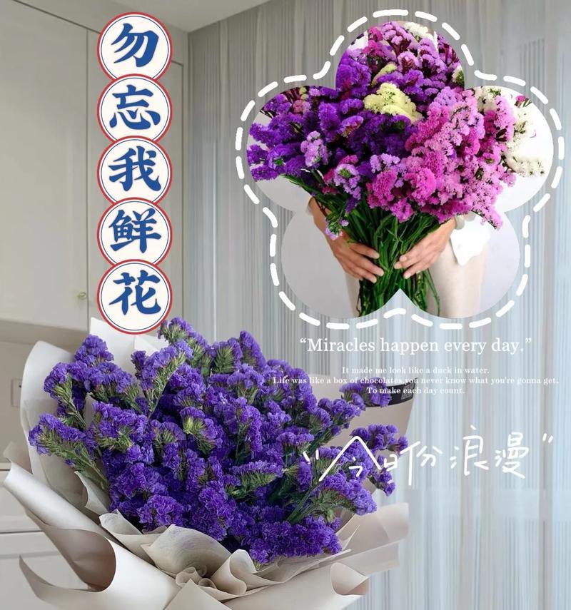 勿忘我花语代表什么？勿忘我的花语有何寓意？