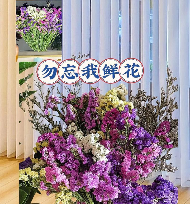 勿忘我花语代表什么？勿忘我的花语有何寓意？
