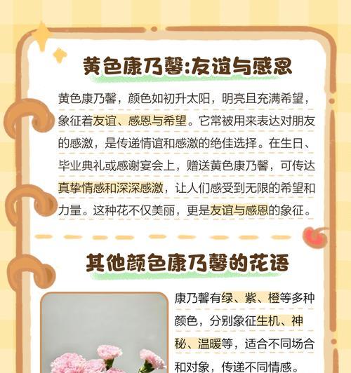 花木中康乃馨的花语具体是什么？