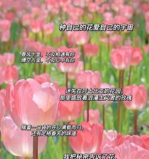 哪种花的花语是清醒？清醒花语的花有哪些？