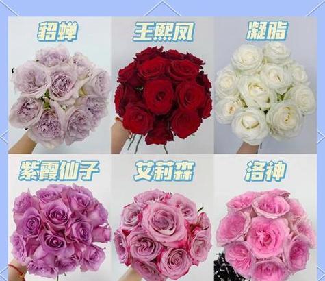 送朋友什么花及花语最合适？如何选择合适的花语？