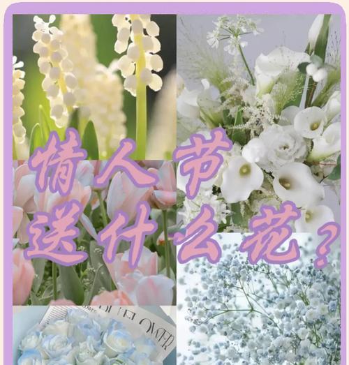 送朋友什么花及花语最合适？如何选择合适的花语？