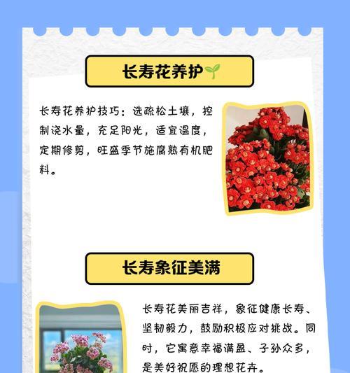 心愿是哪种花的花语？心愿花语的花有哪些？