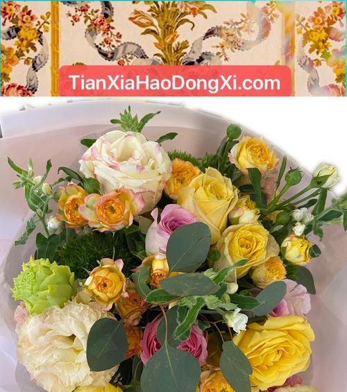 心愿是哪种花的花语？心愿花语的花有哪些？