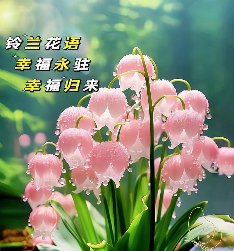 铃兰花的花语和含义是什么？铃兰象征着什么？
