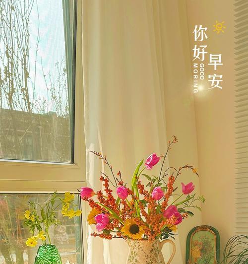 火焰兰桔色的花语是什么？它有哪些特别的含义？