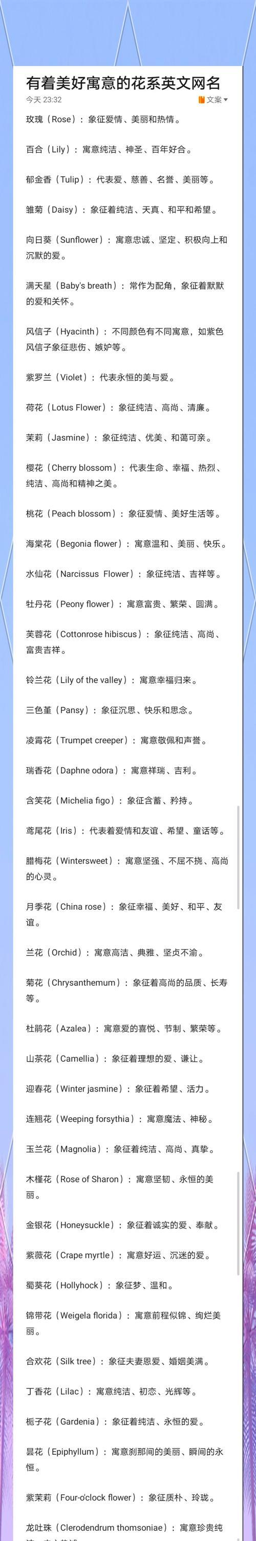 灰色绣球花代表什么意义？