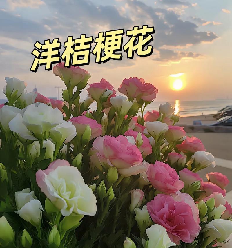 各种花的含义和花语有哪些？