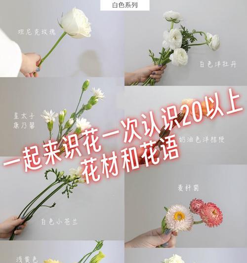 各种花的含义和花语有哪些？