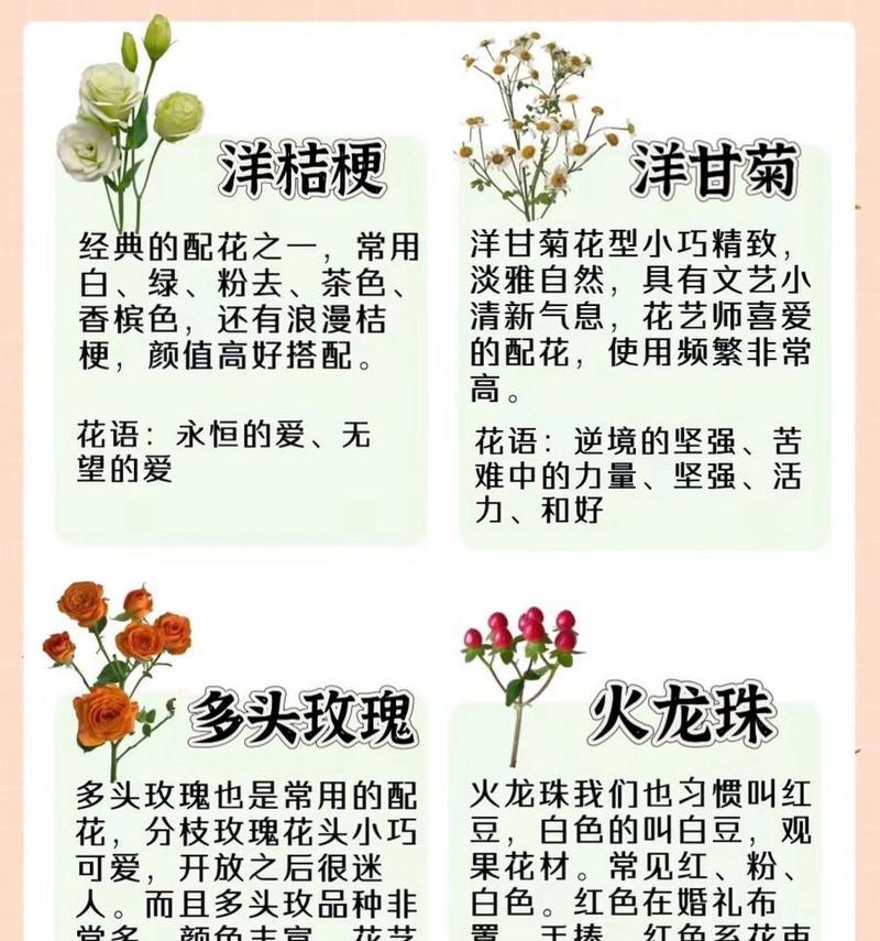 满天星的数量花语有何不同？