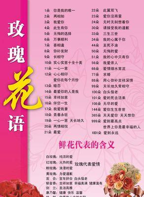 不同颜色玫瑰花的花语有何区别？