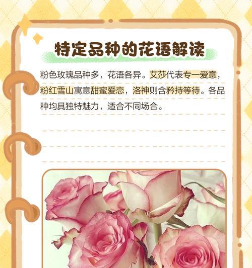 不同颜色玫瑰花的花语有何区别？