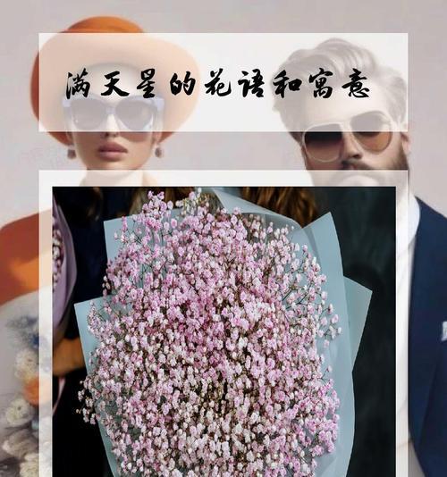 满天星花语和诗的象征意义是什么？