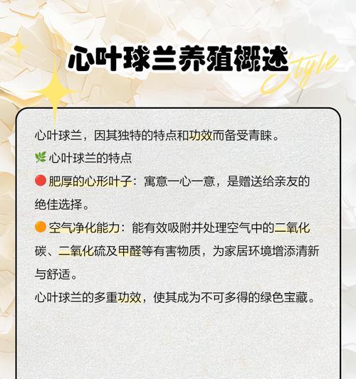 心叶球兰花语代表什么？