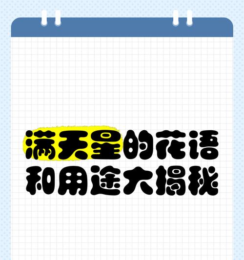悲伤花语满天星的含义是什么？
