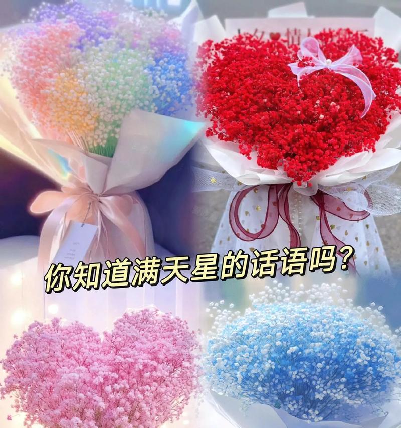 悲伤花语满天星的含义是什么？