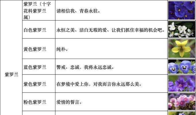 花语象征与寓意的深层含义是什么？