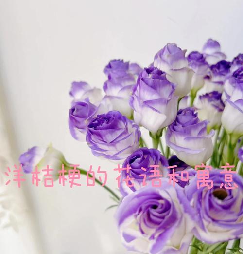 多头洋桔梗花语有何特别之处？