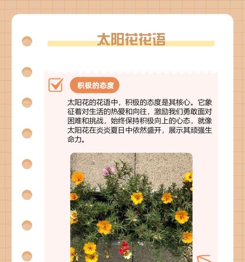 哪种花的花语是仁义？花语中的仁义象征着什么？