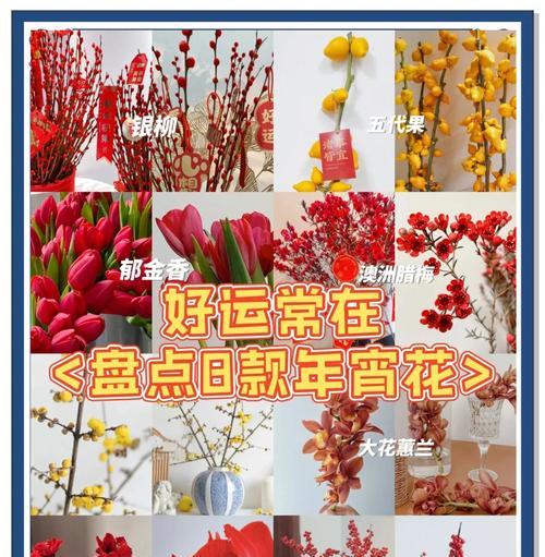 哪种花的花语是团圆？团圆花语的花有哪些？
