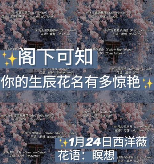 哪种花有和解的花语？和解花语的花有哪些？