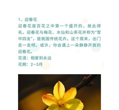 鲜花的花语有哪些？鲜花的禁忌是什么？