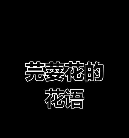 哪种花代表孤单？孤单的花语是什么？