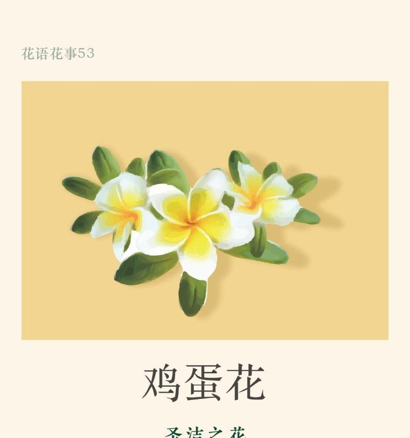 哪种花代表孤单？孤单的花语是什么？