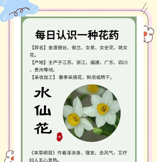 水仙花在日本的花语是什么？水仙花有哪些文化含义？