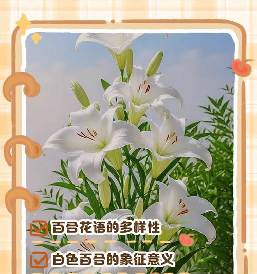 哪种花的花语最美好？最好的花语代表什么？