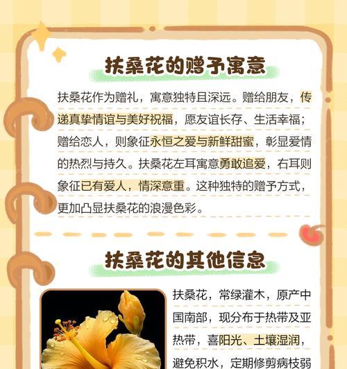 对红花的花语是什么？对红花在花语中代表什么？