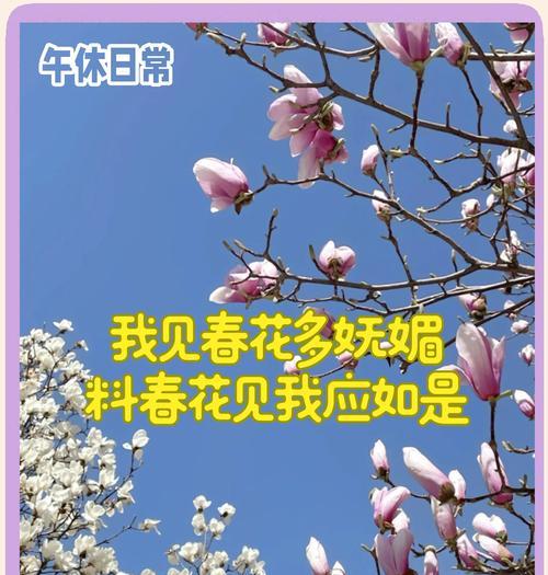 玉兰花在广告中传达什么信息？花语含义是什么？